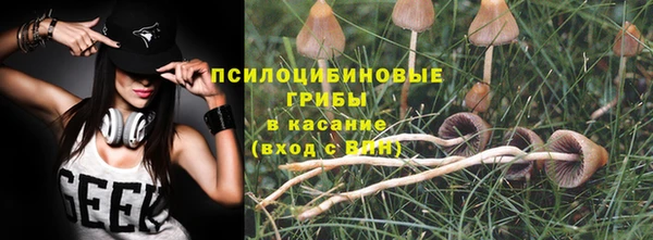 ГАЛЛЮЦИНОГЕННЫЕ ГРИБЫ Алексин