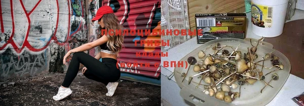 бошки Алексеевка