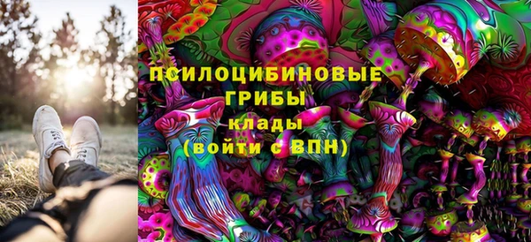 ГАЛЛЮЦИНОГЕННЫЕ ГРИБЫ Алексин