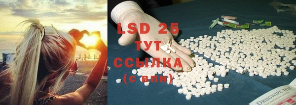 ГАЛЛЮЦИНОГЕННЫЕ ГРИБЫ Алексин