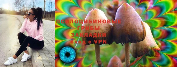 бошки Алексеевка